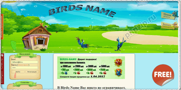 Birds Name